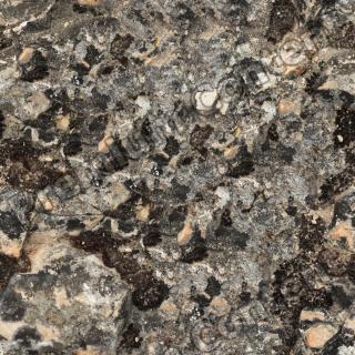 Seamless Stone 0021